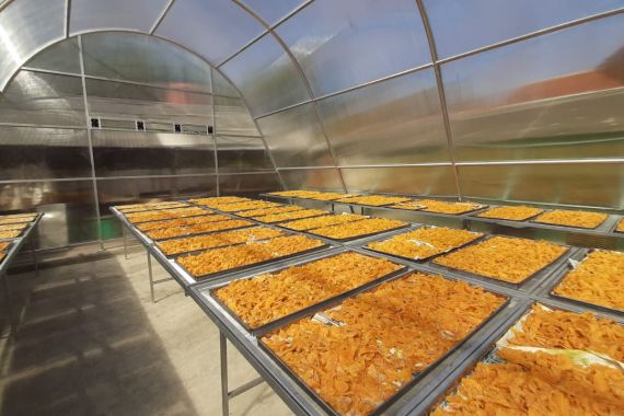 Solar Dryer Dome, Meningkatkan Nilai Tambah Produk Hortikultura Petani - JPNN.COM
