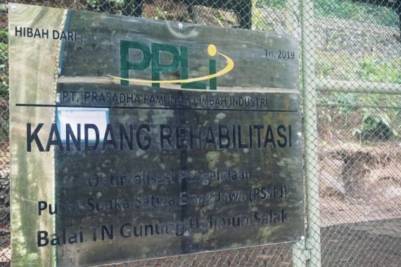 Hari Keragaman Hayati, Perusahaan Limbah Urus Konservasi Elang Jawa - JPNN.COM