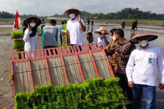 Hasil Produktivitas Tanaman Petani Meningkat, Pupuk Indonesia Perluas Program Agro Solution - JPNN.COM