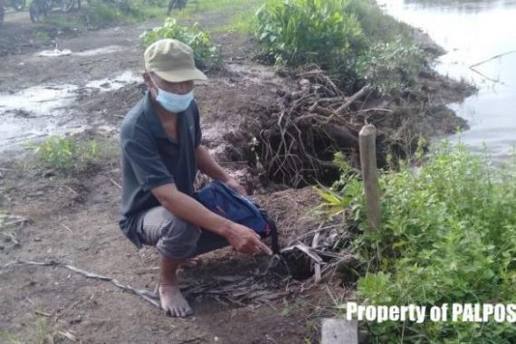 Selin Saksikan Tubuh Ibunya Diseret Buaya ke Sungai - JPNN.COM