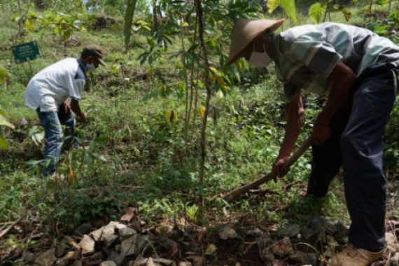 Gandeng Instiper Yogyakarta, Sarihusada Kembangkan Taman Kehati Eroniti - JPNN.COM