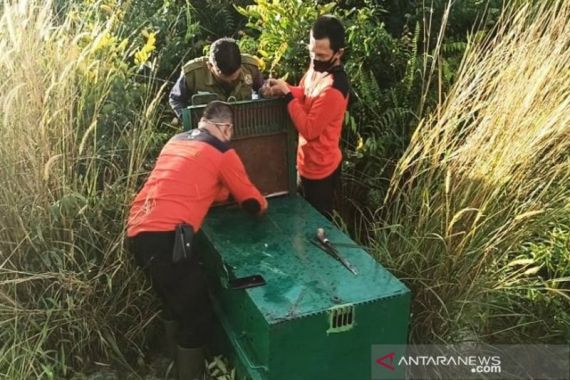 Muriansyah Imbau Warga Sampit Waspada Ketika Keluar Rumah di Malam Hari - JPNN.COM