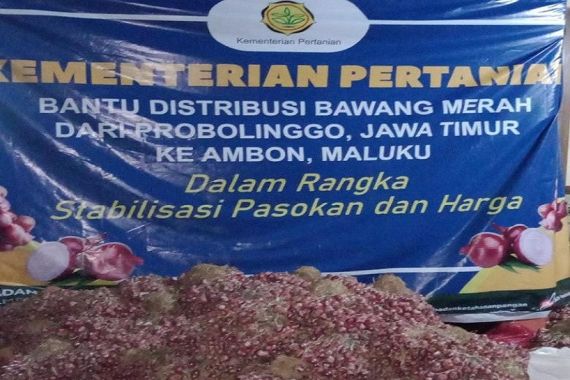 Kementan Subsidi Distribusi Bawang Merah dan Daging Ayam Untuk Stabilkan Harga - JPNN.COM