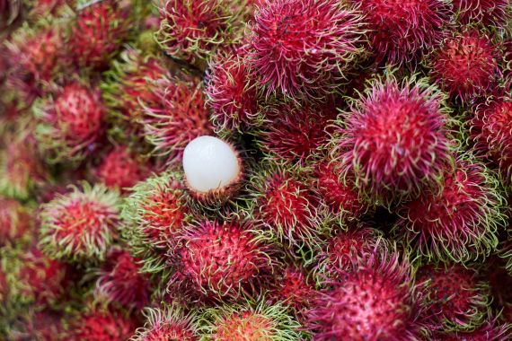 3 Manfaat Jus Rambutan, Bikin Cairan Pria Makin Ganas Lho - JPNN.COM