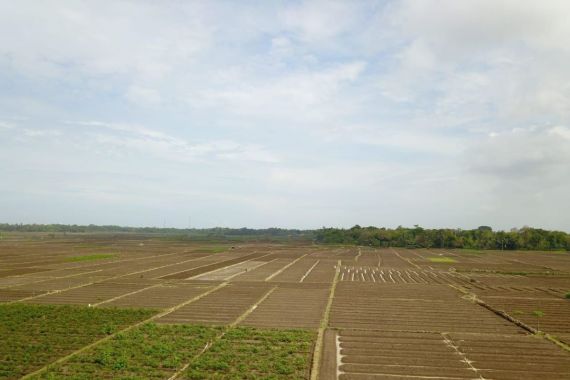 Kementan Bakal Bangun Food Estate Berbasis Hortikultura di Pulau Jawa - JPNN.COM