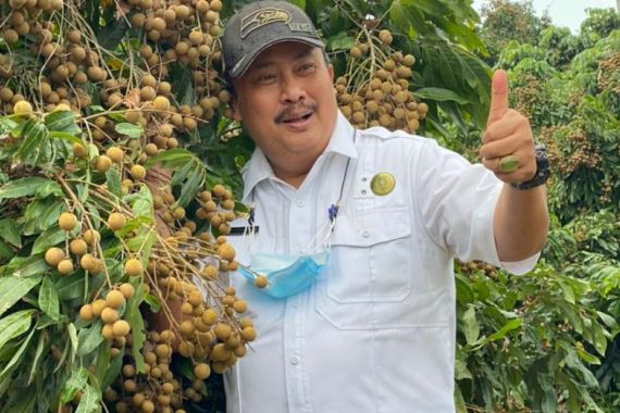 Mengenal Kebun Kelengkeng Grobogan, Wisata Pertanian yang Menjanjikan Prospek Ekonomi - JPNN.COM