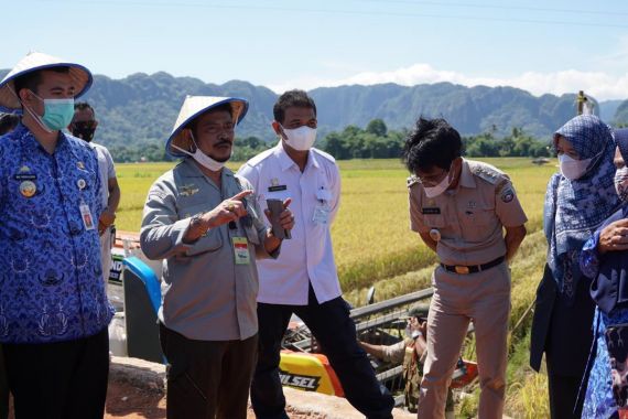 Mentan Dorong Petani Pangkep 3 Kali Tanam dalam Semusim, Begini Caranya... - JPNN.COM