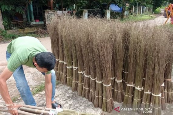 Warga Sumbar Gali Potensi Lain Kelapa Sawit, Tak Disangka Mampu Mendongkrak Penghasilan Tambahan - JPNN.COM