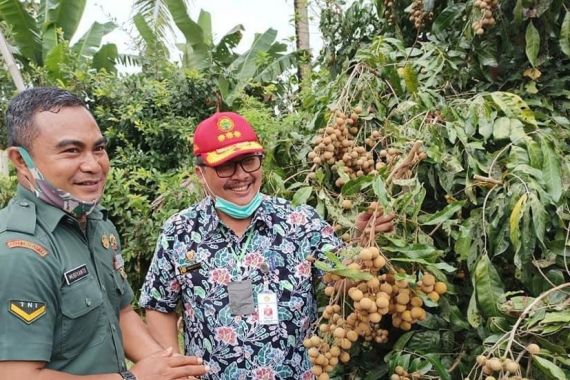 Kementan Siapkan 900 Kampung Hortikultura, Ini Tujuannya - JPNN.COM