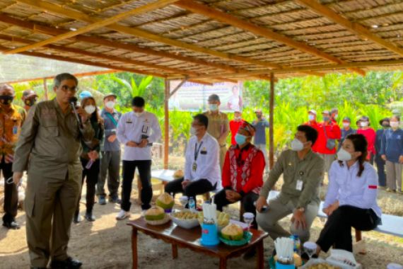 Kunjungi Petani di Kubu Raya, Wamentan: Kami Datang Memberi Kepastian - JPNN.COM