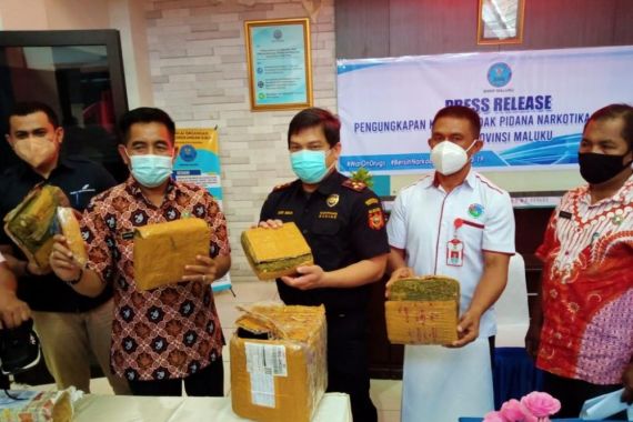 Bersinergi dengan APH, Bea Cukai Memberantas Narkotika Ilegal di Maluku - JPNN.COM