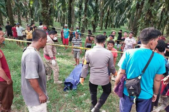 Polisi Bongkar Kasus Pembantaian Sadis Terhadap Satu Keluarga di Sintang - JPNN.COM