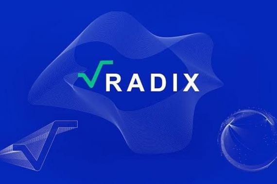 Radix, Blockchain Platform yang Aman dari Peretasan - JPNN.COM