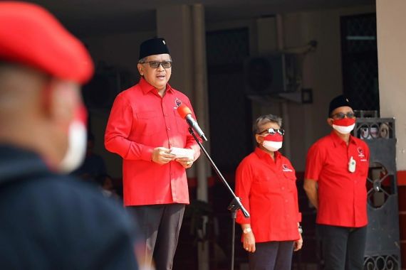 Hasto Kritisi Impor Paracetamol, Pangi: PDIP Sudah Pasti Menyinggung Pemerintahan Jokowi - JPNN.COM