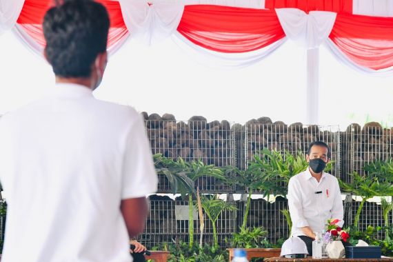 Petani Porang Bercerita ke Jokowi: Untung Menggiurkan, 3 Tahun Sudah Beli Mobil - JPNN.COM