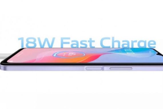 Vivo Y21 Hadir dengan Baterai Jumbo, Harganya di Bawah Rp 3 Juta - JPNN.COM