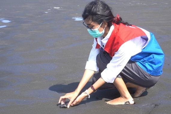 Pertamina Kembali Melepasliarkan 206 Penyu Lekang di Pantai Sodong Cilacap - JPNN.COM