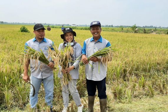 Keren, Petani Muara Enim Panen Calon Benih Hasil Penangkaran IPDMIP - JPNN.COM