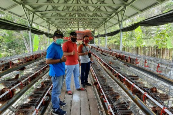 Usaha Peternakan Ayam, Santri di Tabalong Meraup Omzet Rp 16,5 Juta Per Bulan - JPNN.COM