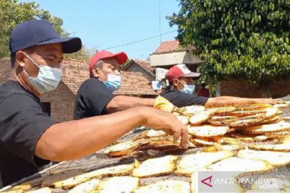 Target Kemenperin Dorong Inovasi Produk Turunan Porang - JPNN.COM