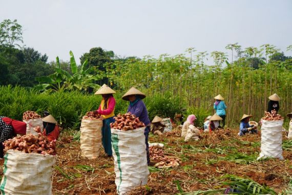 Kementan Rayakan Merdeka Panen dan Tanam Bersama Petani Lewat Bimtek On The Spot - JPNN.COM