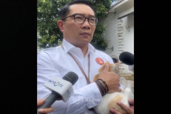 Ridwan Kamil Menggendong Kucing Warna Oranye, Katanya seperti Jakarta - JPNN.COM