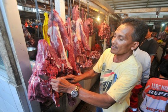 Pemerintah Jamin Daging Kerbau Impor tak Menggeser Sapi Lokal - JPNN.COM
