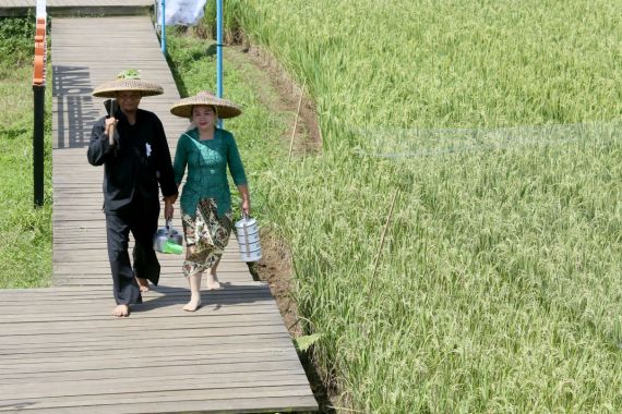 FAO Ungkap Kenaikan Harga Pangan Bikin 46 Juta Orang Kelaparan - JPNN.COM