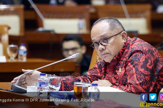 Junimart PDIP Sebut Andi Arief Frustrasi dan Beropini Sesat - JPNN.COM