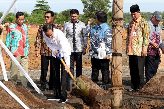 Disambar Petir, Pohon Jokowi Meranggas - JPNN.COM
