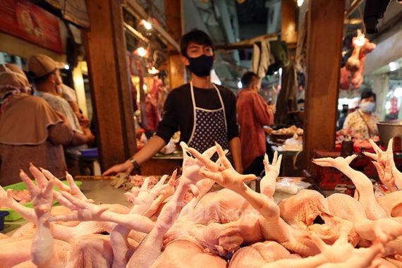 Singapura Setujui Indonesia Pasok Ayam dan Produknya, Alhamdulillah - JPNN.COM
