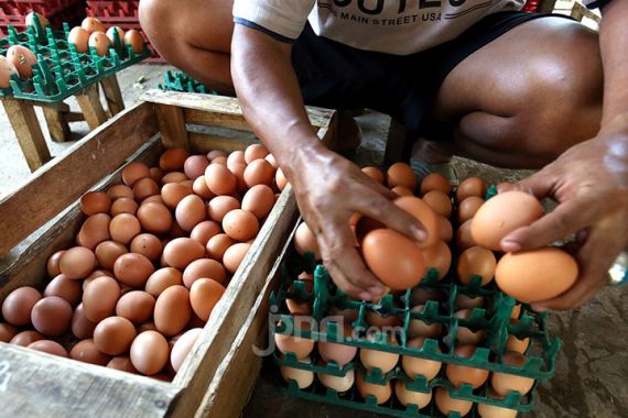 Harga Telur Ayam Meroket, Coba Lihat Data Sembako Hari Ini - JPNN.COM