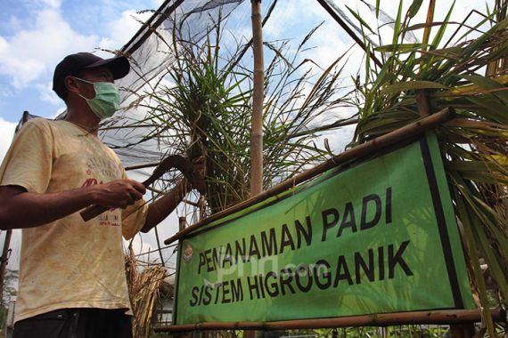 Mentan Syahrul Sebut Hari Krida Pertanian 2021 Sangat Spesial, Ini Sebabnya... - JPNN.COM
