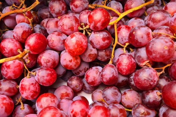 9 Manfaat Cuka Anggur yang Tidak Terduga, Baik untuk Penderita Diabetes - JPNN.COM
