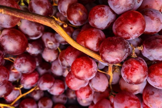 7 Manfaat Rutin Mengonsumsi Anggur, Bantu Cegah Serangan Penyakit Ini - JPNN.COM