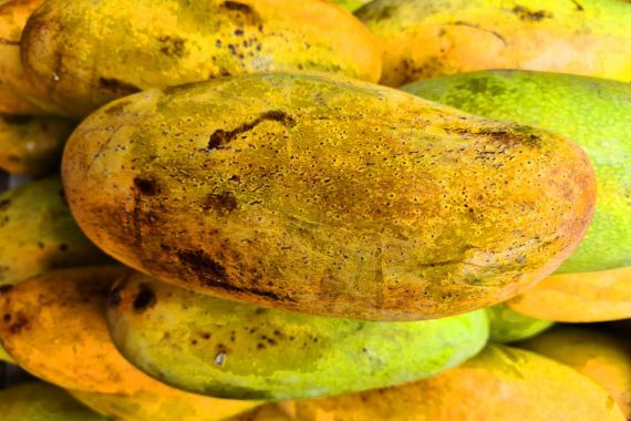 7 Khasiat Rutin Konsumsi Jus Mangga Campur Pisang, Nomor 2 Bikin Wanita Bahagia - JPNN.COM