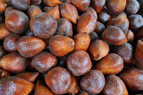 Suka Konsumsi Buah Salak, Ini 10 Manfaatnya untuk Kesehatan, Nomor 3 Ajaib - JPNN.COM