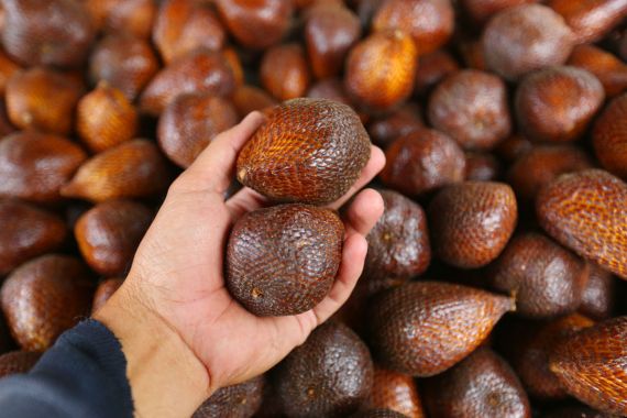 Jangan Berlebihan Makan Salak, 4 Penyakit Kronis Ini Bisa Kambuh Lho - JPNN.COM