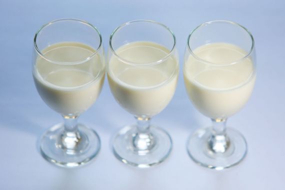 7 Khasiat Minum Susu Hangat Campur Madu, Bikin Pencernaan Bahagia - JPNN.COM