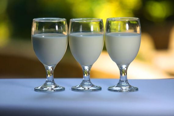 Duh, Jangan Mengonsumsi 5 Makanan Sehat Ini Bersama dengan Susu, Fatal Akibatnya - JPNN.COM