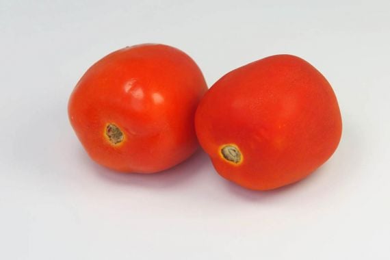 Tidak Hanya Buahnya, Ampas Tomat Ternyata Mengandung Manfaat yang Baik untuk Kulit - JPNN.COM