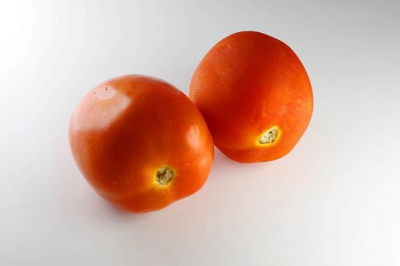 7 Manfaat Rutin Makan Tomat, Nomor 6 Fantastis - JPNN.COM
