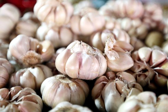 10 Manfaat Rutin Mengonsumsi Bawang Putih Mentah, Nomor 5 Bikin Kaget - JPNN.COM