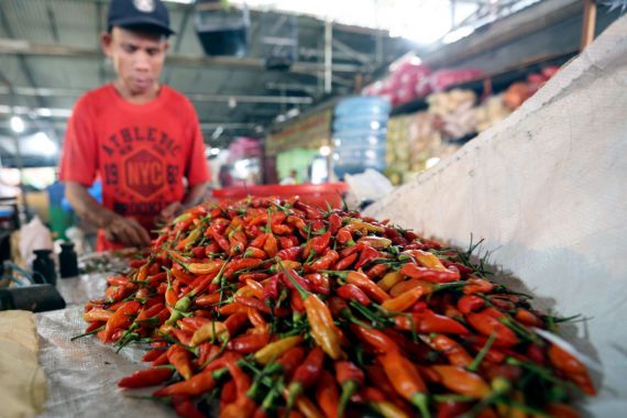 3 Manfaat Luar Biasa Konsumsi Cabai untuk Tubuh - JPNN.COM