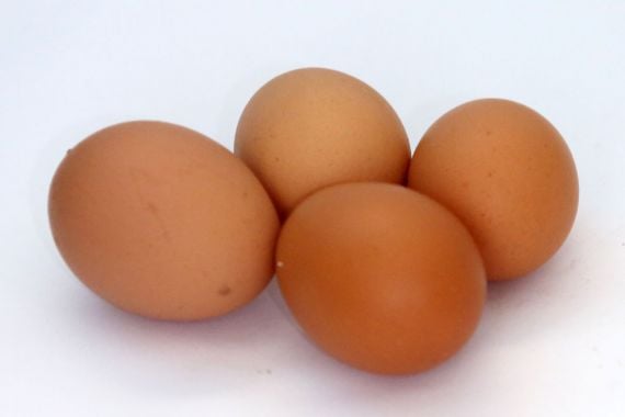 5 Khasiat Telur Ayam Kampung Campur Madu, Bikin Ketagihan Banget - JPNN.COM