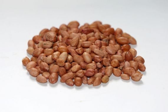7 Manfaat Makan Kacang Tanah Saat Musim Dingin yang Bikin Kaget - JPNN.COM