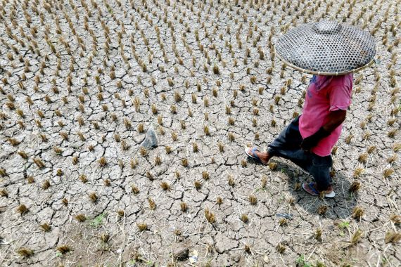 Antisipasi Kekeringan Akibat El Nino, BNPB dan BRGM Bekerja Sama Membuat Sumur Bor - JPNN.COM