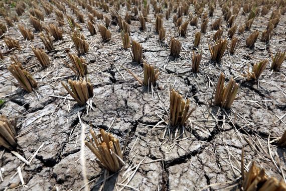 Dunia Hari Ini: El Nino Akan Menerjang Australia, Warga Diminta Bersiap - JPNN.COM