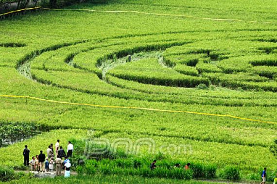 Peneliti LAPAN Ragukan UFO Mampir di Sleman - JPNN.COM