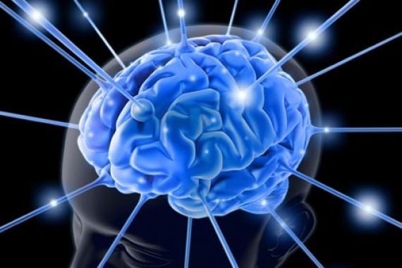 Penelitian Otak Alami Krisis Pendanaan - JPNN.COM